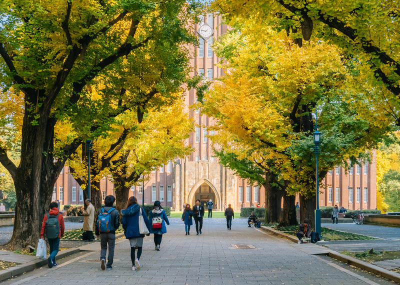 日本学位你都了解么？(图3)
